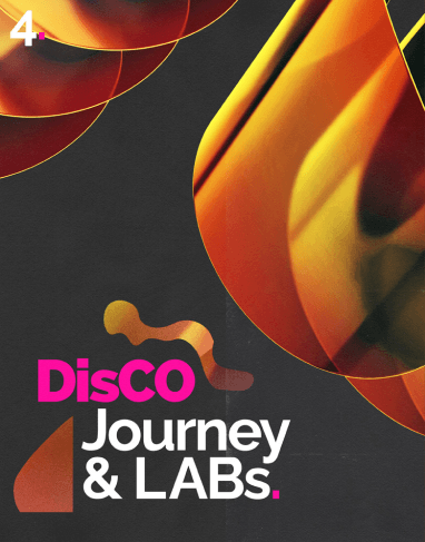 4. DisCO Journey and Labs